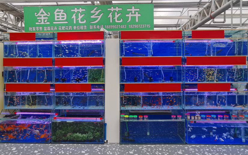 微信圖片_20251013184956_48_343_副本.jpg
